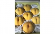 ＜2024年8月上旬より発送予定＞岡山県産・マンゴーの様な黄色い桃・黄金桃(2kg箱)【1294300】
