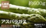 No.025 アスパラガス桐箱詰めセット　約600g ／ 野菜 グリーンアスパラ JGAP認証農場 広島県