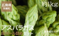 No.026 アスパラガス段ボール詰めセット　約1kg ／ 野菜 グリーンアスパラ JGAP認証農場 広島県