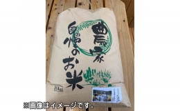 【ふるさと納税】No.074 農家の自慢のお米 コシヒカリ玄米 10kg ／ こしひかり ごはん 広島県