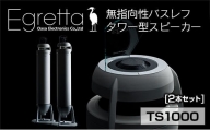 オオアサ電子　Egretta(エグレッタ)無指向性バスレフ・タワー型スピーカー TS1000