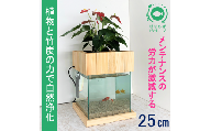 水槽セット　25cm  せせらぎビオトープ　アクアリウム　木枠台　金魚　植物