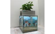 水槽セット　25cm  せせらぎビオトープ　アクアリウム　照明　熱帯魚　植物