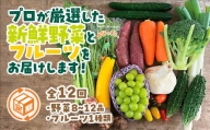 A035 朝採り野菜とフルーツの定期便（12回）