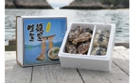 島田水産 Shimada Oyster 生かき1kg(500g×2)+殻付き10個(加熱用)