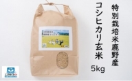 特別栽培米鹿野産コシヒカリ玄米5kg (5kgx1袋)＊北海道・沖縄・離島への配送不可＊
