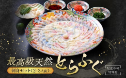 これぞ冬の王様、料亭の味、最高級天然とらふぐの刺身セット(2〜3人前)です。当店の地元、山口県近郊で水揚げされる天然もののとらふぐ刺しセットです。有田焼の皿に盛り付けて贈り物や年末年始を華やかに演出。
