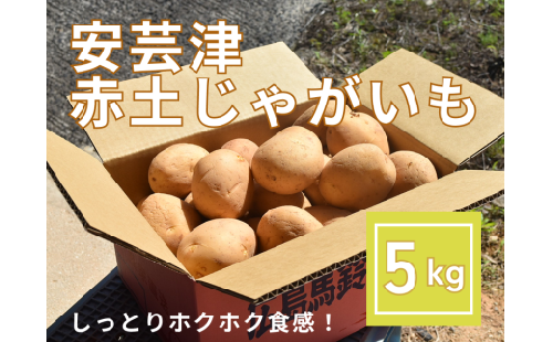 【予約商品】安芸津　赤土じゃがいも　５kg【配送時期：6月上旬～8月上旬／11月下旬～1月上旬】 780403 - 広島県東広島市