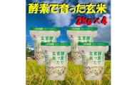 広島コシヒカリ酵素で育った玄米8kg