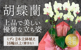 この返礼品には贈答用のための下記のサービスが対応可能です↓・『配送日指定可』ー備考欄に配送のご希望日をご記入ください。(＊すぐに出荷できないものもございます。)・『ギフト対応可』ーふるさと納税の情報を