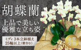 この返礼品には贈答用のための下記のサービスが対応可能です↓・『配送日指定可』ー備考欄に配送のご希望日をご記入ください。(＊すぐに出荷できないものもございます。)・『ギフト対応可』ーふるさと納税の情報を