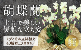この返礼品には贈答用のための下記のサービスが対応可能です↓・『配送日指定可』ー備考欄に配送のご希望日をご記入ください。(＊すぐに出荷できないものもございます。)・『ギフト対応可』ーふるさと納税の情報を