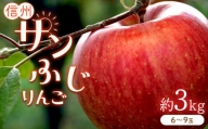 りんごの王様 「 サンふじ 」 約3kg (6～9玉)