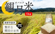 【定期便6ヶ月】 棚田のお米 オバステ観月米 (5kg) | コシヒカリ