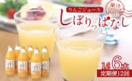 【定期便12ヶ月】信州産 りんごジュース 「しぼりっぱなし」 果汁100％ (1ℓ×6本)