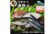 山口県 阿武町 道の駅 厳選 ！ 当日水揚げ 鮮魚 セット 約4～5kg 新鮮 豪華 旬 獲れたて 魚 さかな サザエ 海鮮