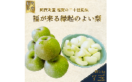 【ふるさと納税】【先行予約】福賀の二十世紀梨 約3kg（7玉） 阿武町産 高糖度＆安心栽培 昼夜の寒暖差が生むシャキシャキ食感 数量限定 なし 梨 ナシ フルーツ 果物 旬 《お届け：2025年8月下旬～9月15日頃出荷》 山口県 阿武町産 デザート