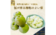 【先行予約】福賀の二十世紀梨 約5kg（12～18玉） 阿武町産 高糖度＆安心栽培 昼夜の寒暖差が生むシャキシャキ食感 数量限定 なし 梨 ナシ フルーツ 果物 旬 《お届け：2025年8月下旬～9月15日頃出荷》 山口県 阿武町産 デザート