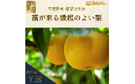 【  先行予約  】 南水梨 約3kg （7玉） 福賀産 （ 山口県 阿武町 ） 高糖度 ＆ シャキシャキ食感 やまぐちブランド認定の旬の味 梨 フルーツ 果物 デザート 【お届け：2025年9月20日頃～順次出荷】 数量限定