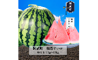 1株1玉獲りの自信作「福賀 すいか」特天 約11kg～13kg 1個