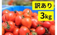 【訳あり】めぐみでぃトマト 3kg 若狭の恵