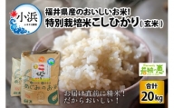 【令和5年産】 福井県産 特別栽培米 こしひかり 玄米 10kg × 2袋 若狭の恵