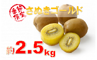 124　香川県オリジナルキウイフルーツ「さぬきゴールド」約 2.5㎏【香川県共通返礼品】