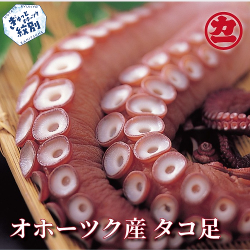 14-206 オホーツク産タコ足 78323 - 北海道紋別市