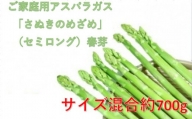 ご家庭用アスパラガス「さぬきのめざめ」(セミロング)春芽 サイズ混合約700g