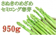 953 三木町産 香川オリジナルアスパラガス「さぬきのめざめ」 セミロング 春芽 約950g