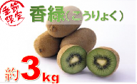 981　香川県オリジナルキウイフルーツ「香緑」約3kg【香川県共通返礼品】