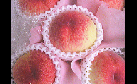 季節のフルーツ「さぬきの桃」　計約3.4kg【令和6年6～7月発送】