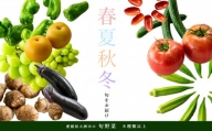 愛たい菜旬の野菜詰合せB(8種類以上)