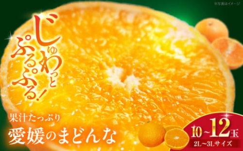 【先行予約】【11月下旬から順次発送】 とろける宝石みかん「まどんな」2L～3Lサイズ 10～12玉 果物 フルーツ みかん みかんジュース 愛媛県産みかん 愛媛みかん まどんな マドンナ 愛媛県大洲市/峯田農園 [AGBT006]