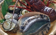 魚のプロが厳選した瀬戸内の旬の味！何が届くのかはお楽しみ♪「天然活魚おまかせセット」約3人前　愛媛県大洲市/天然活魚　濱　屋 [AGBP008]魚介 海鮮 天然 鮮魚 海産物