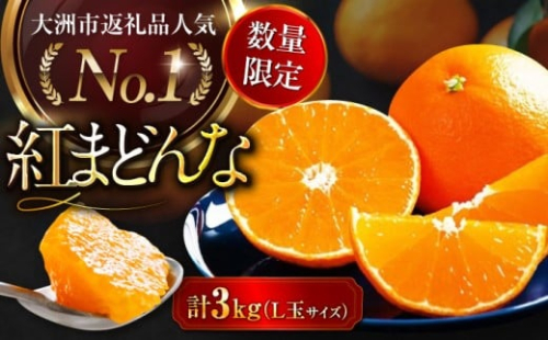 紅まどんな【11月下旬から順次発送】【期間 数量限定】 紅まどんな Lサイズ 約 3kg（15玉入）愛媛県大洲市/愛媛たいき農業協同組合[AGAO006] みかん ミカン 柑橘 紅マドンナ 旬の果物 冬の果物 くだもの フルーツ スイーツ デザート おやつ 愛媛県産 大洲市産 産地直送 おすすめ 人気 お取り寄せ 送料無料 贈答 ギフト プレゼント 贈り物 冬ギフト お土産 愛媛県限定栽培 特産品