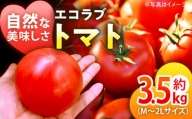自然な美味しさ、たっぷり味わう。エコラブトマトM〜2Lサイズ（20〜24玉）約3.5kg　愛媛県大洲市/沢井青果有限会社 [AGBN012]野菜 サラダ トマト とまと 完熟トマト