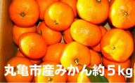 [先行予約]みかん 約5kg 柑橘 ミカン 蜜柑 オレンジ 果物 くだもの フルーツ 果実 ギフト 贈答用 プレゼント 11月〜 順次発送 香川県 丸亀市