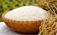 [№5341-0098]さぬきの米　おいでまい　10kg