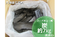【数量限定】バーベキューに最適な大洲産「木炭」約7kg　愛媛県大洲市/大洲市森林組合 [AGBK003]炭 炭火 木炭 焼き鳥 焼き肉