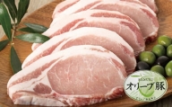 [ギフト用]豚肉 オリーブ豚 ロースとんかつ用 600g(120g×5枚)[化粧箱入り][配送不可:離島]