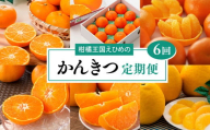 【愛媛県共通返礼品】【定期便】愛媛の柑橘定期便（全6回）（日の丸みかん・紅まどんな・いよかん・不知火（デコポン）・せとか・河内晩柑）※2025年11月下旬～2026年4月下旬に毎月1回発送予定