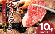 1132-7　やわらか牛ハラミ焼肉 秘伝のタレ漬け10kg(250g×40P)