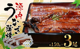 脂がのった旨いうなぎ『源内うなぎ』※商標登録土用の丑を『うなぎの日』に命名したと言われている平賀源内の生誕の地、讃岐国（現・香川県志度）。この『源内うなぎ』は、現・香川県さぬき市（志度町）の川魚漁師 