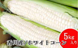 ピュアホワイトは色は名前の通りクリームシチューのような白色で、一粒一粒の果皮は柔らかく、噛むと中から甘い果汁がほとばしる感じがします。 香川県では生産されている農家が少ない為、数量に限りがあるたいへん