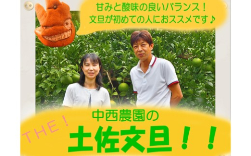 中西農園の土佐文旦10kg家庭用（大玉） 788284 - 高知県宿毛市