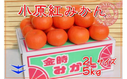 燃える様に赤いみかん！香川県のオリジナル品種！食べやすい【大玉サイズ】の小原紅早生みかんを産地直送でお届け致します。香川県のオリジナル品種「小原紅早生みかん」は、金時みかんとも呼ばれる濃い紅色と濃厚な