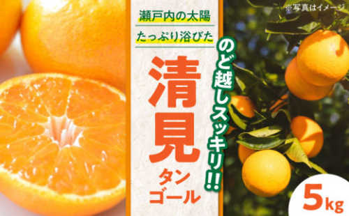 【先行予約】【2027年3月下旬から順次発送】清見タンゴール 5kg 愛媛県大洲市/永沼農園 [AGAW005] 先行予約 みかん ミカン 蜜柑 清見タンゴール 果物 くだもの フルーツ