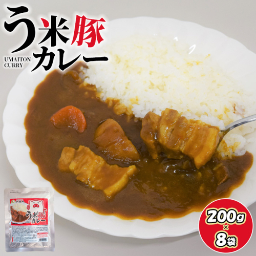 う米豚カレー200g×8袋【290019】 78879 - 北海道恵庭市