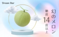 さぬきメロン Dream Star 1.3kg以上｜メロン 糖度 14度以上 甘い フルーツ 果物 くだもの 特産 ふるさと 坂出市 香川 さぬき 食品 人気 おすすめ 送料無料
